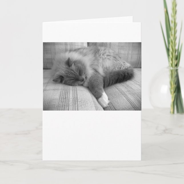 Dias Lentos, cartão (Frente)