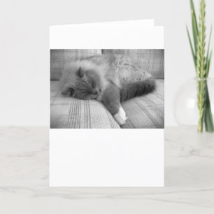 Dias Lentos, cartão