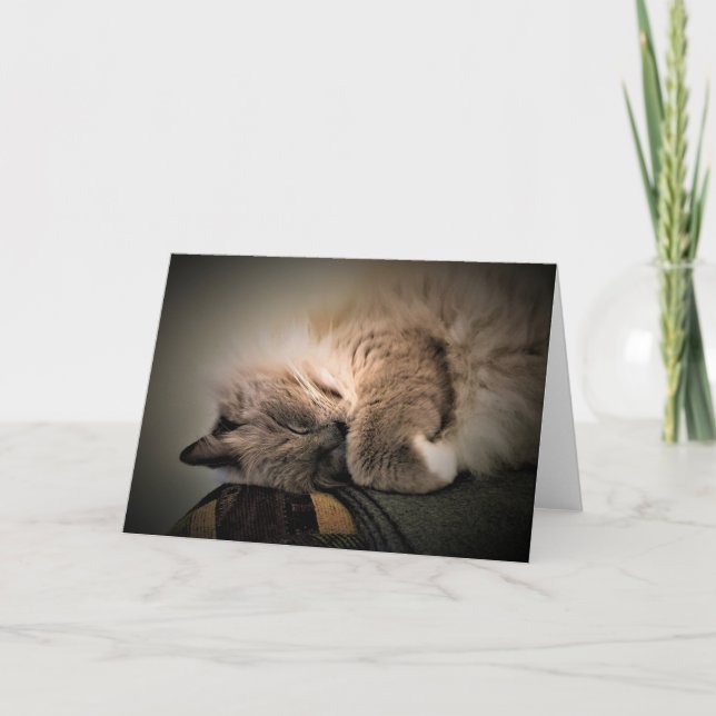 Dias Lentos, cartão (Frente)