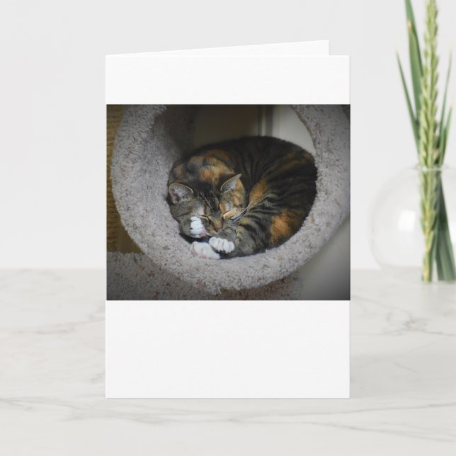 Dias Lentos, cartão (Frente)