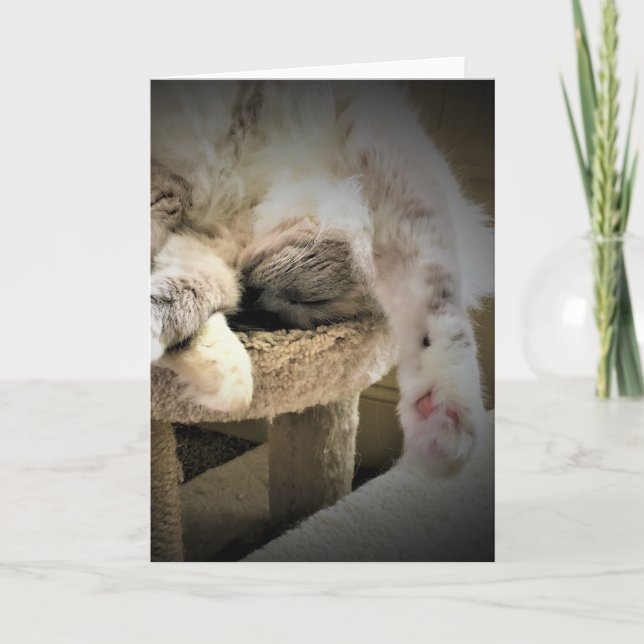 Dias Lentos, cartão (Frente)