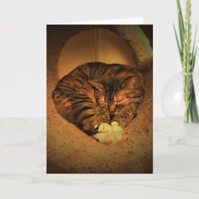 Dias Lentos, cartão (Frente)