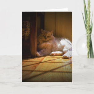 Dias Lentos, cartão