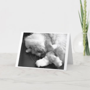 Dias Lentos, cartão