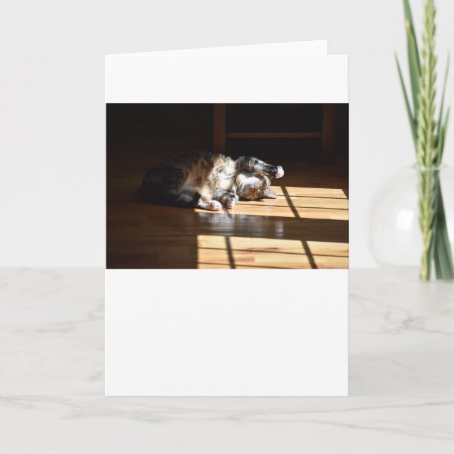 Dias Lentos, cartão (Frente)