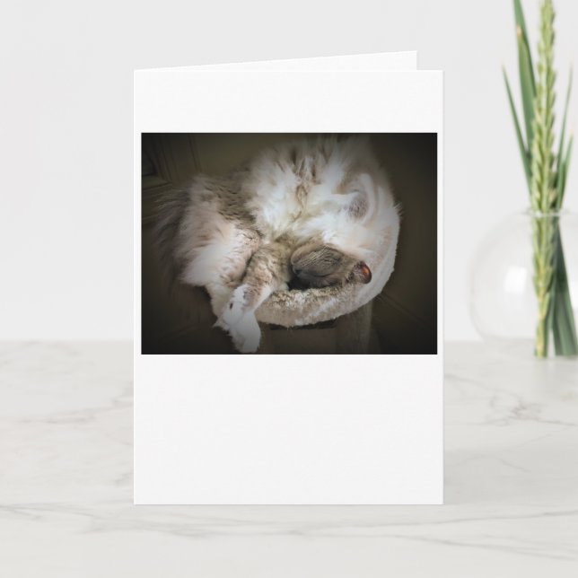 Dias Lentos, cartão (Frente)