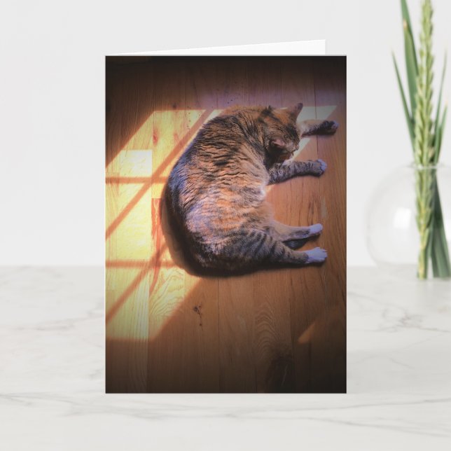 Dias Lentos, cartão (Frente)