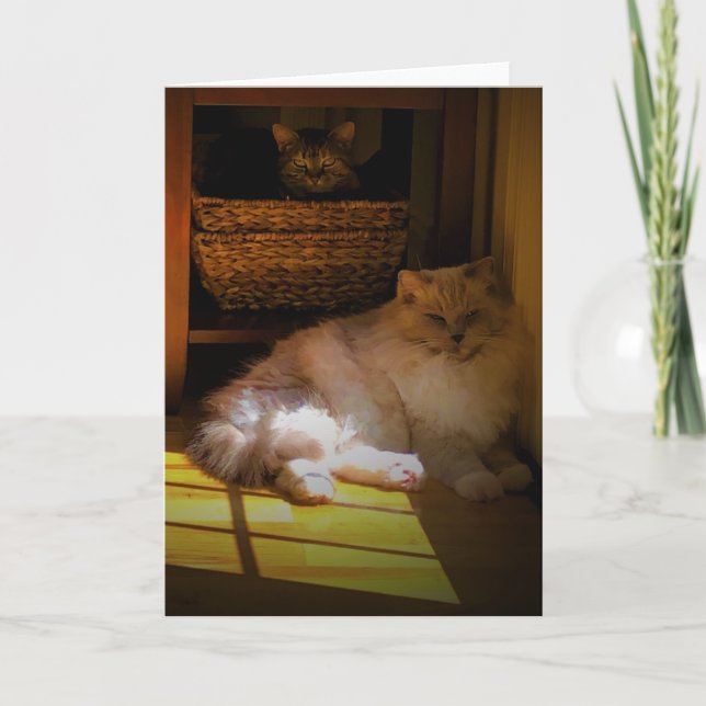 Dias Lentos, cartão (Frente)