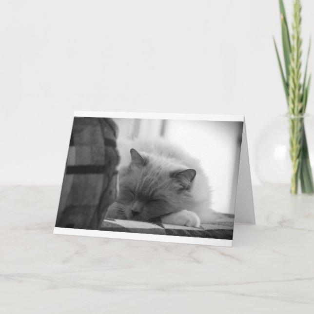 Dias Lentos, cartão (Frente)