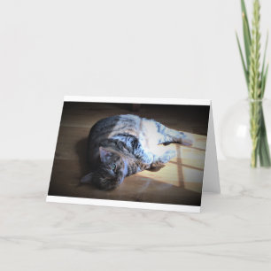 Dias Lentos, cartão