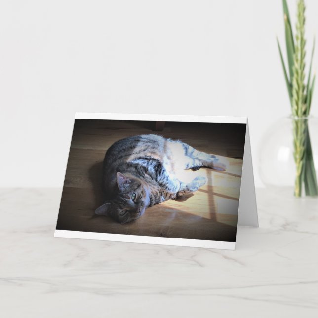 Dias Lentos, cartão (Frente)