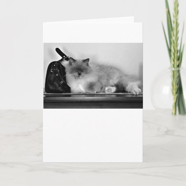 Dias Lentos, cartão (Frente)