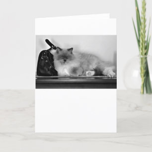 Dias Lentos, cartão