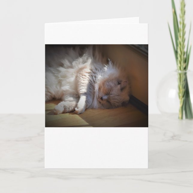 Dias Lentos, cartão (Frente)