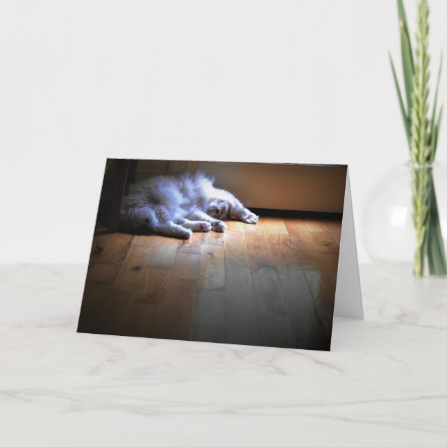 Dias Lentos, cartão (Frente)