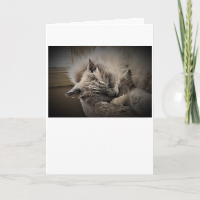 Dias Lentos, cartão (Frente)