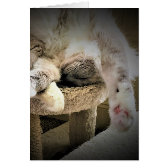 Dias Lentos, cartão (Frente)