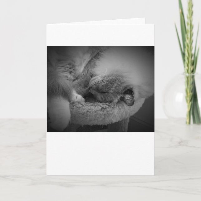 Dias Lentos, cartão (Frente)