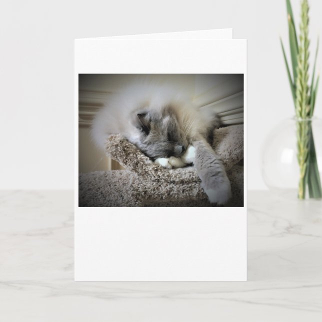 Dias Lentos, cartão (Frente)