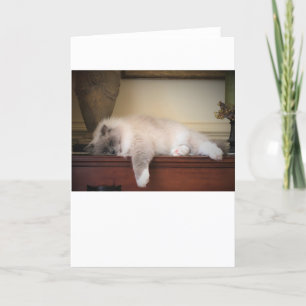 Dias Lentos, cartão