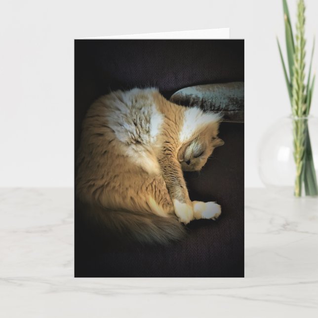 Dias Lentos, cartão (Frente)