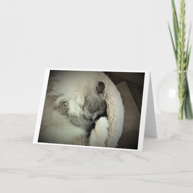 Dias Lentos, cartão (Frente)