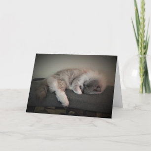 Dias Lentos, cartão