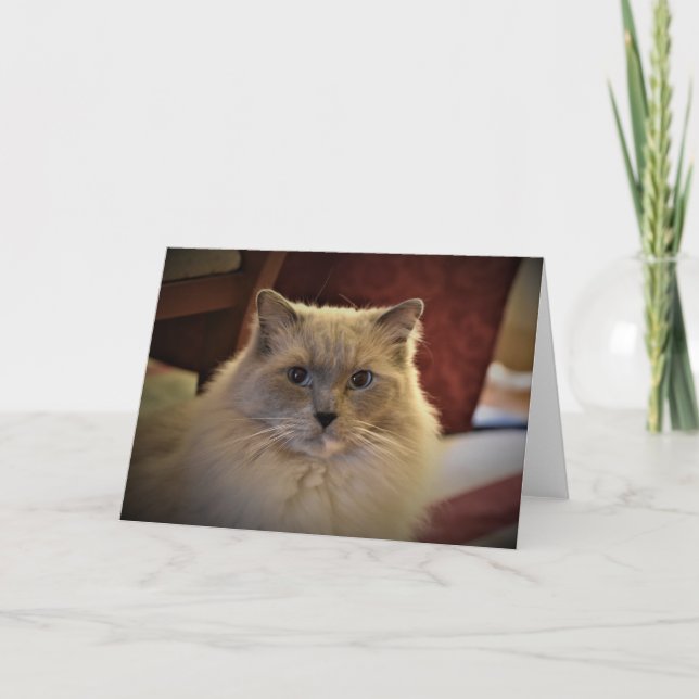 Dias Lentos, cartão (Frente)