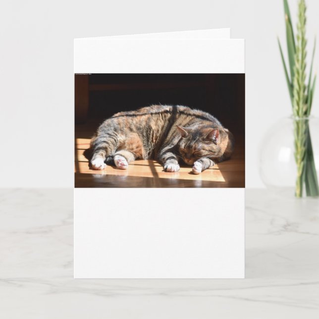 Dias Lentos, cartão (Frente)