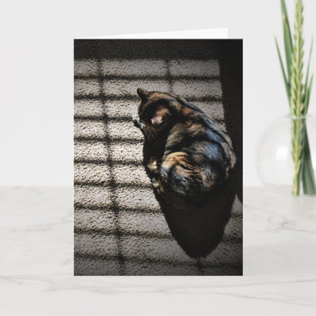 Dias Lentos, cartão (Frente)