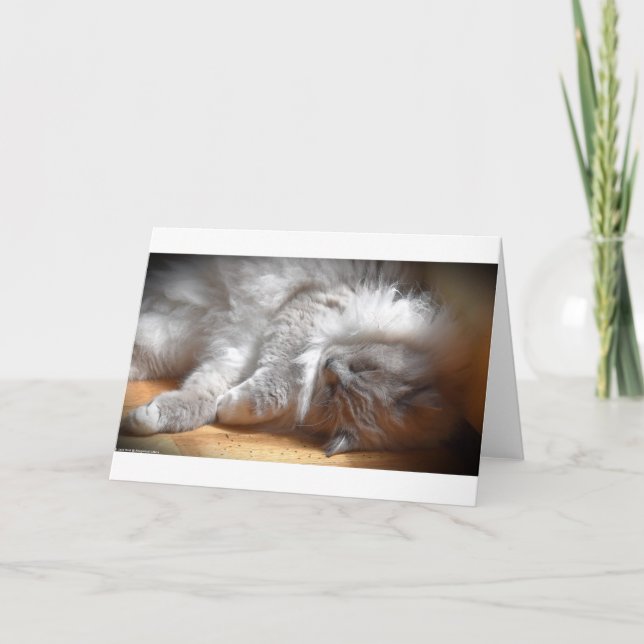 Dias Lentos, cartão (Frente)