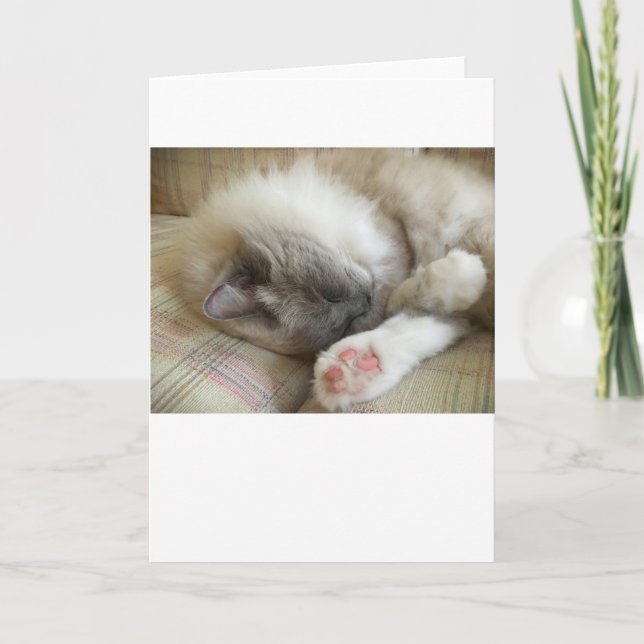 Dias Lentos, cartão (Frente)