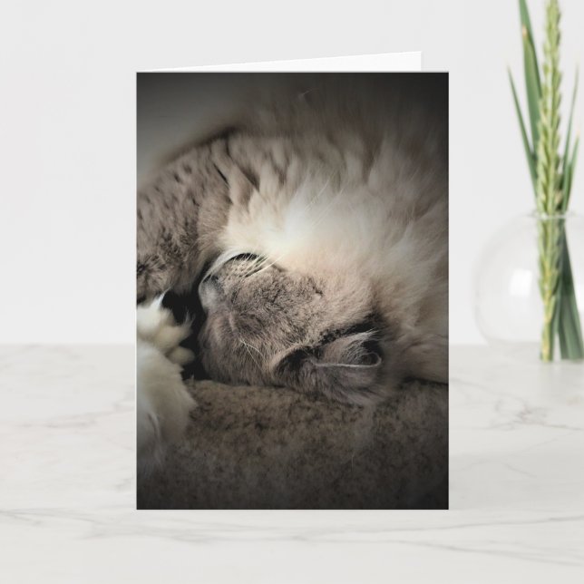 Dias Lentos, cartão (Frente)