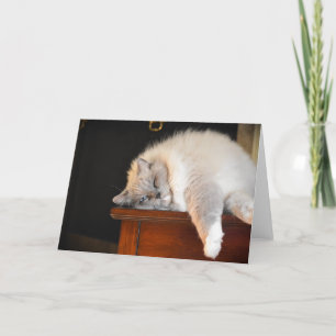 Dias Lentos, cartão