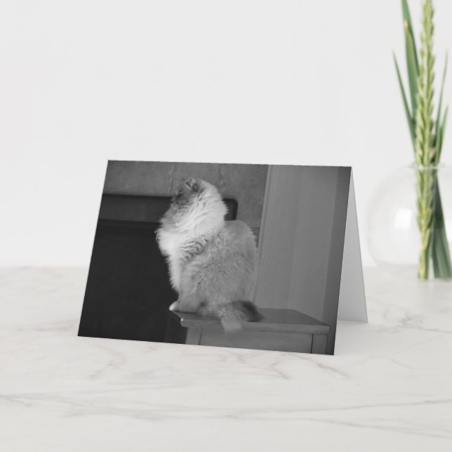 Dias Lentos, cartão (Frente)