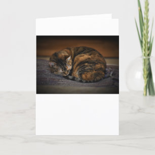 Dias Lentos, cartão