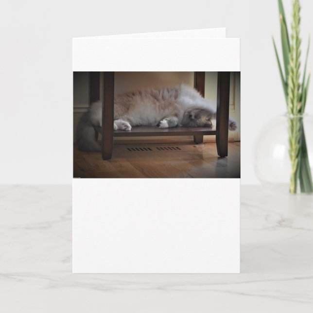 Dias Lentos, cartão (Frente)