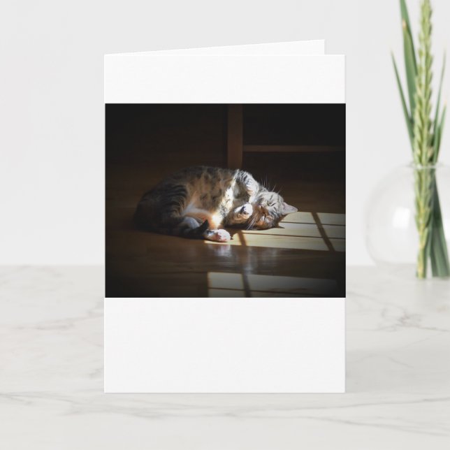 Dias Lentos, cartão (Frente)