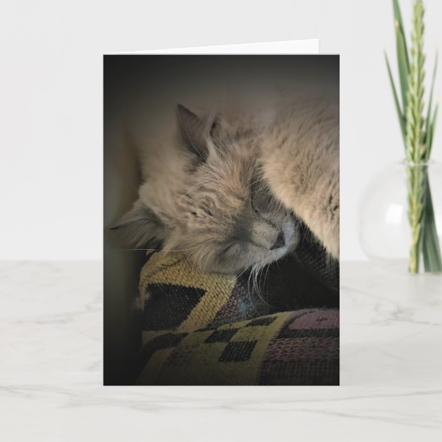 Dias Lentos, cartão (Frente)