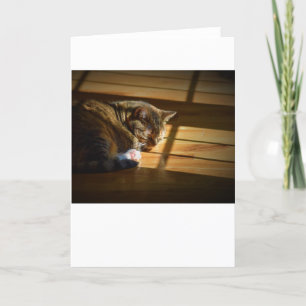 Dias Lentos, cartão