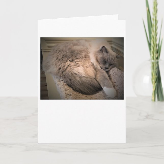 Dias Lentos, cartão (Frente)