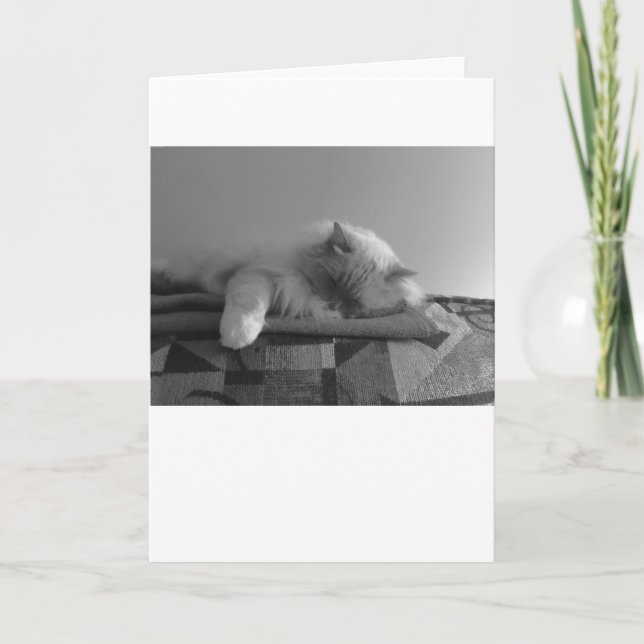 Dias Lentos, cartão (Frente)