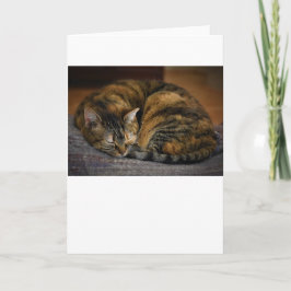 Dias Lentos, cartão