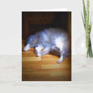 Dias Lentos, cartão