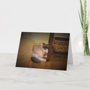 Dias Lentos, cartão