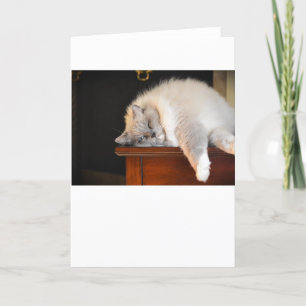 Dias Lentos, cartão