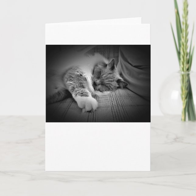 Dias Lentos, cartão (Frente)