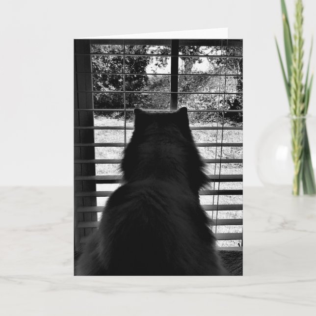 Dias Lentos, cartão (Frente)