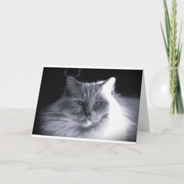 Dias Lentos, cartão (Frente)