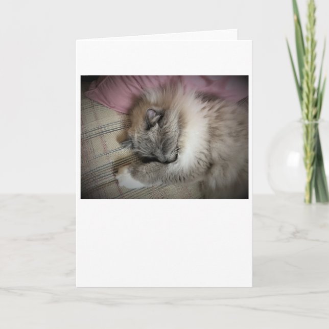 Dias Lentos, cartão (Frente)